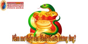 Nằm mơ thấy rắn chọn số nào tương ứng