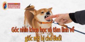 Góc nhìn khoa học và tâm linh về giấc mơ bị chó đuổi